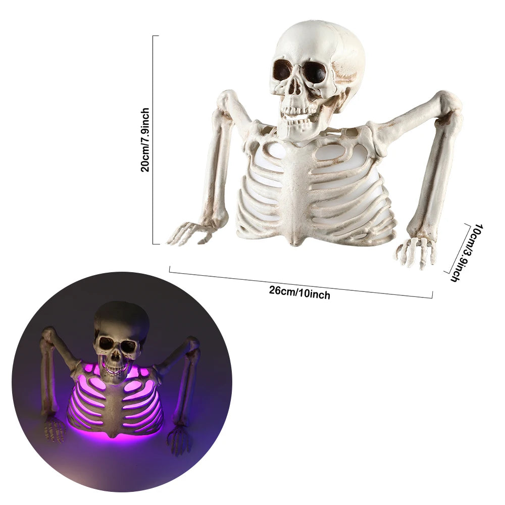 Glowing Skull Skeleton – Halloween Horror Decoration