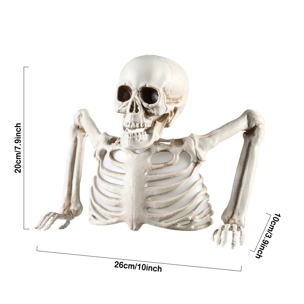 Glowing Skull Skeleton – Halloween Horror Decoration