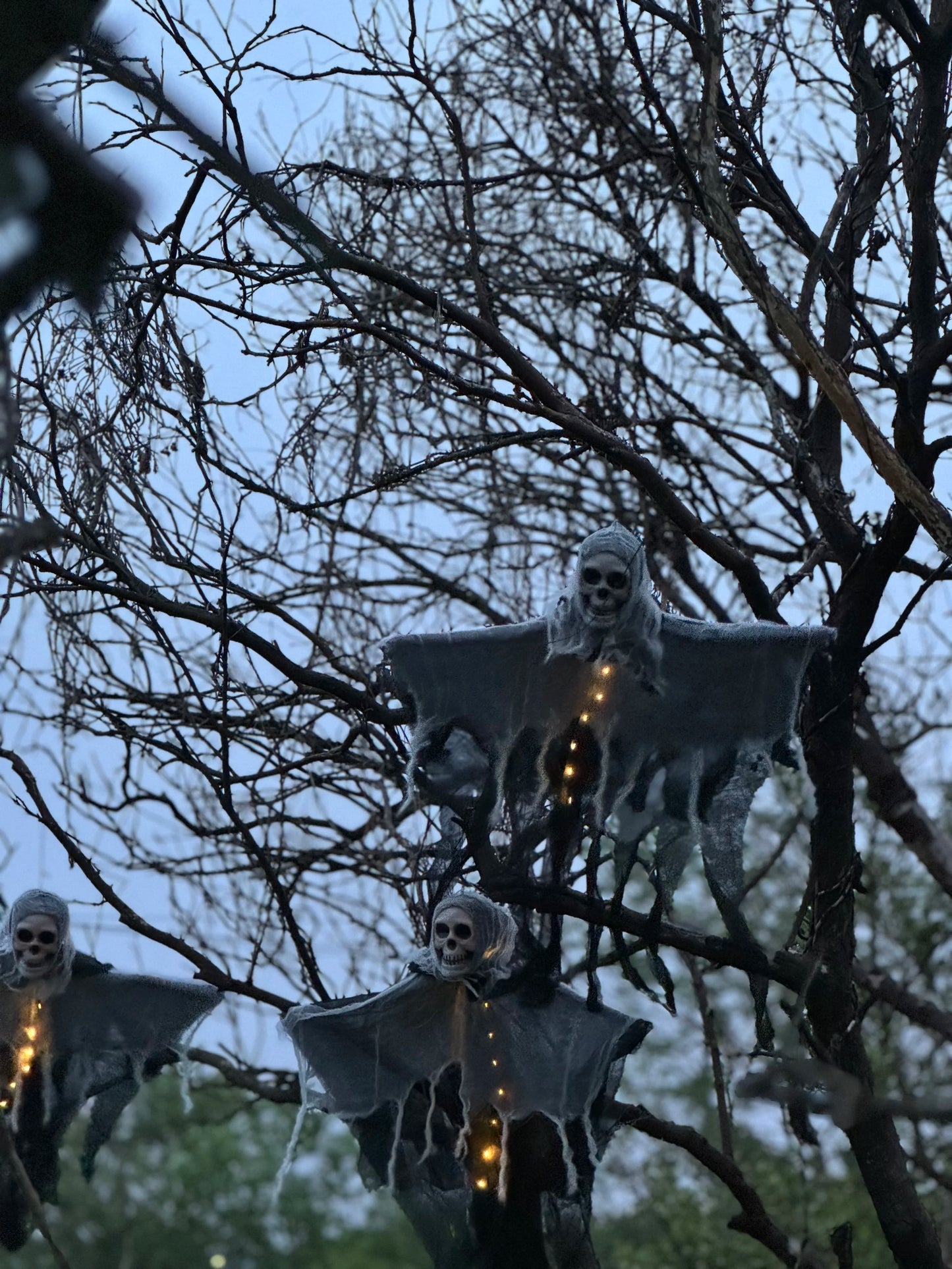 LED Skeleton Ghost – Halloween Outdoor Decoration
