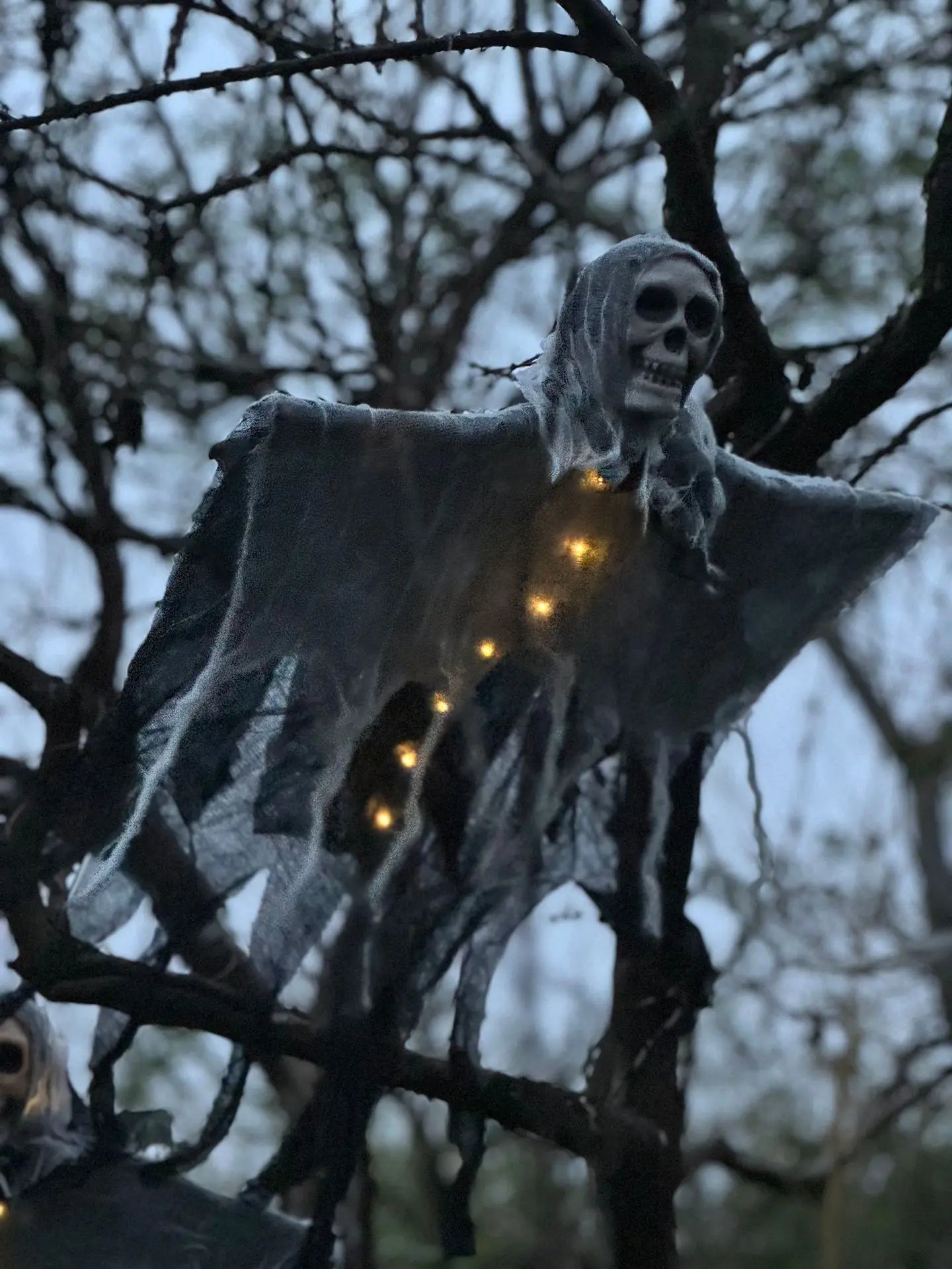 LED Skeleton Ghost – Halloween Outdoor Decoration