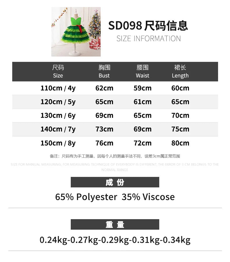 Magical Princess Christmas Dress